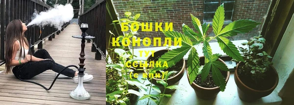 2c-b Горнозаводск