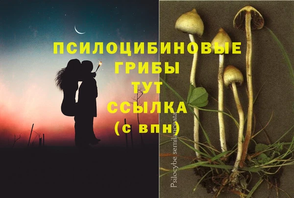 мескалин Горняк