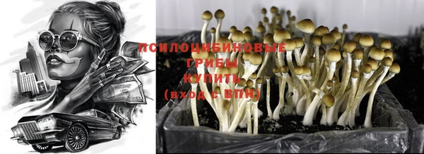 мескалин Горняк