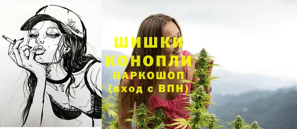 СК Горно-Алтайск