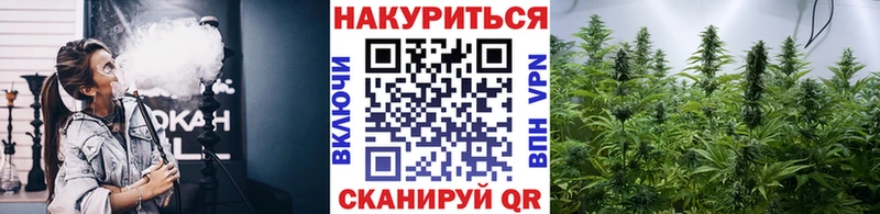 Каннабис Ganja  Купить где  Нововоронеж 
